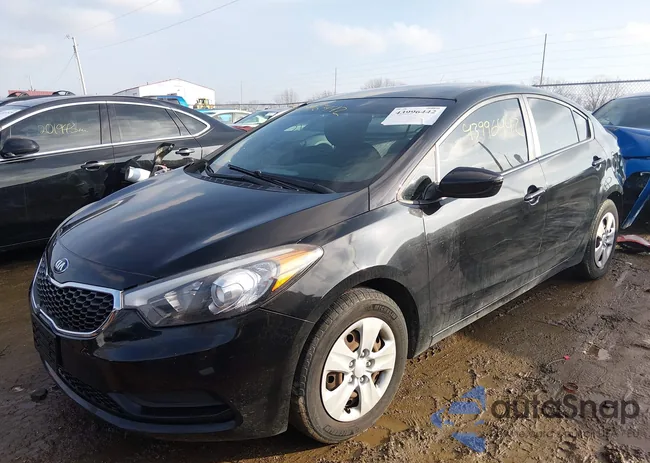 KNAFK4A60G5520238: 43996442