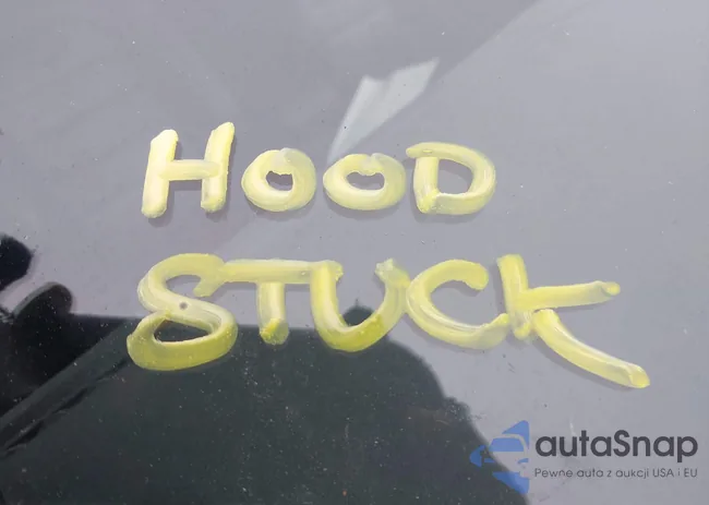 3VW447AU8HM006036: 43997678