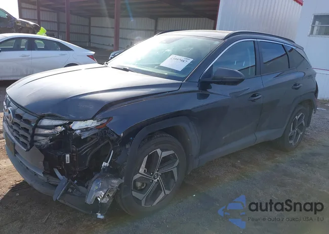 5NMJFCAE7PH231308: 43997987