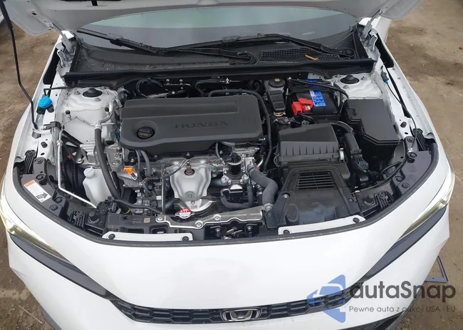 19XFL2H88TE006325: 43998081