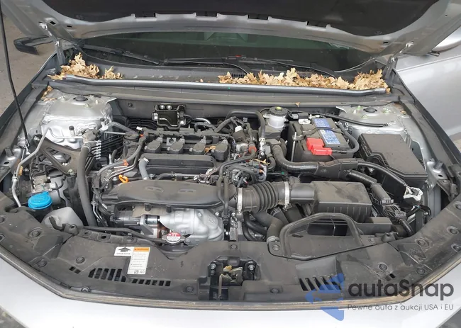 1HGCY1F23RA008042: 43998786