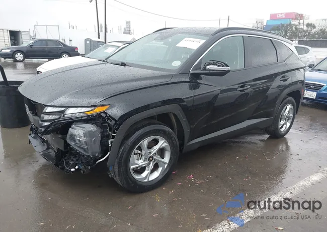 5NMJBCAEXNH098696: 43998795