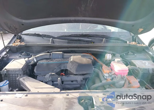 KNDPXCAG2P7010635: 43998999