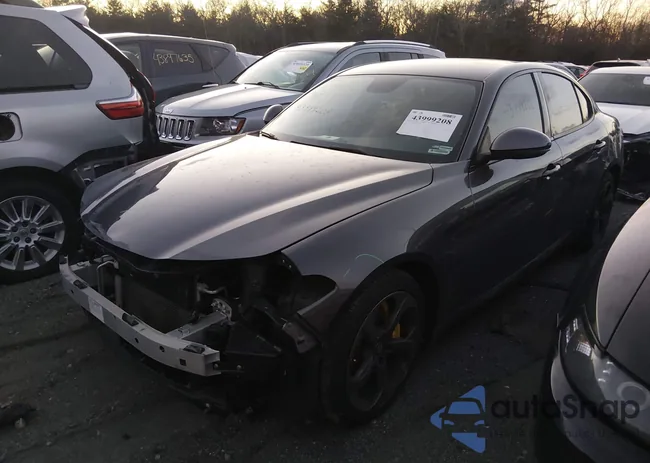 ZARFAMANXK7603353: 43999208