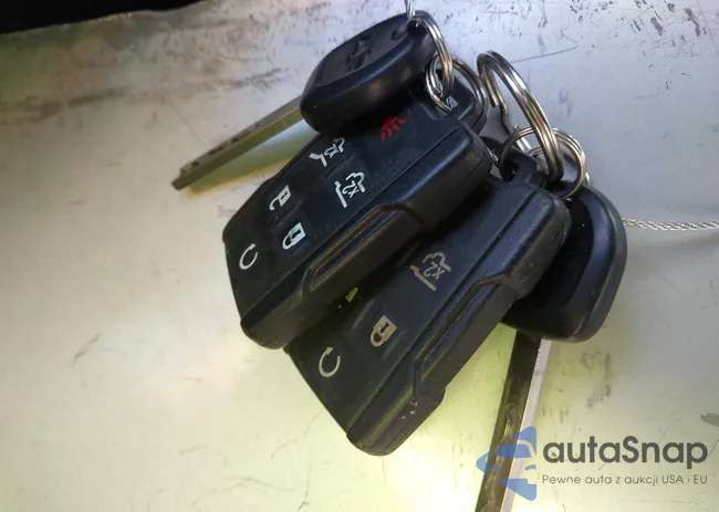 1GNSKBKC1LR241093: 43998445