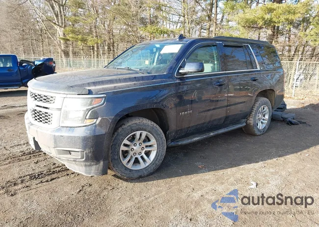 1GNSKBKC1LR241093: 43998445