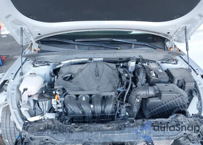 KNAG64J77S5290062: 43998546