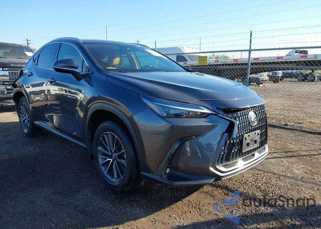 2T2ADCAZ8SC022565: 43999816