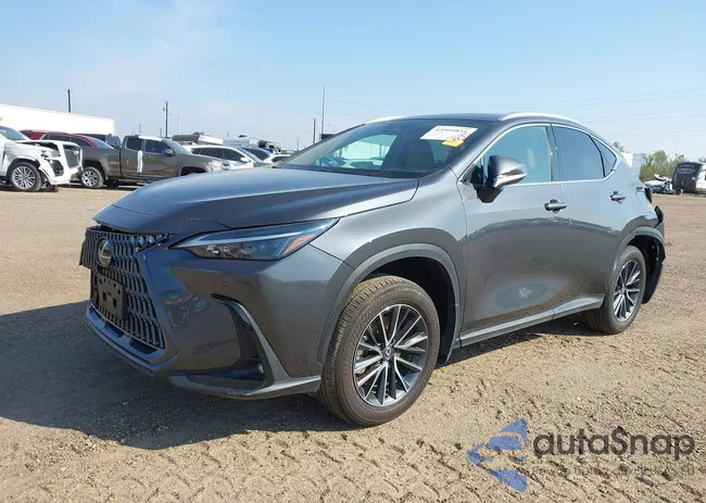 2T2ADCAZ8SC022565: 43999816