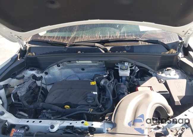 KL79MMS27PB191204: 43999979