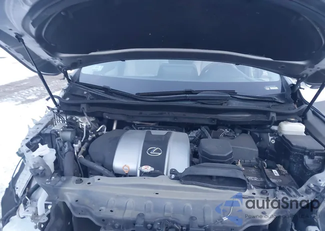 2T2HZMAAXNC251205: 43999355