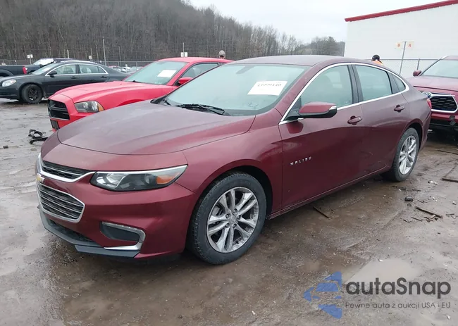 1G1ZE5ST7GF225982: 43999440