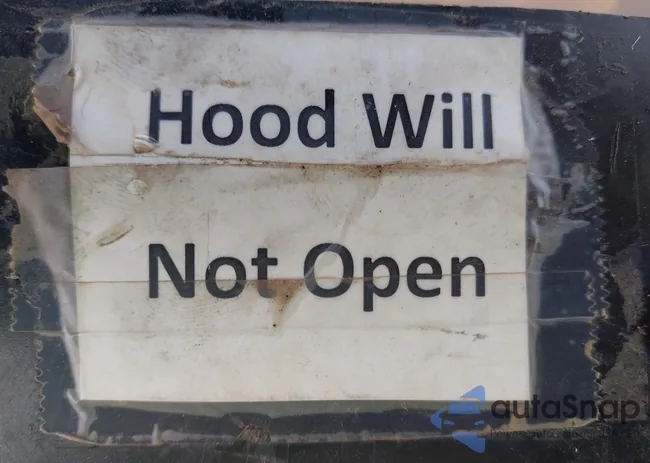 ZACPDFCW5R3A34200: 43999457