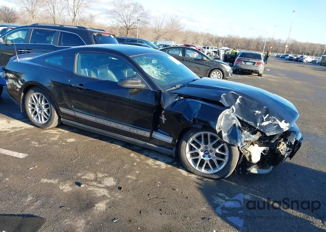 1ZVBP8AM3C5255072: 43999460