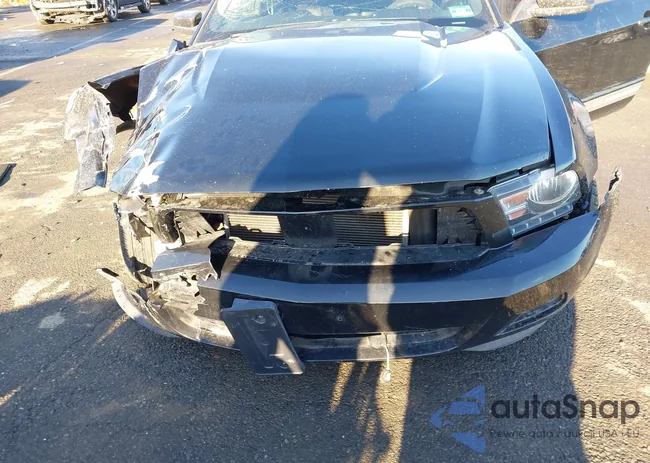 1ZVBP8AM3C5255072: 43999460