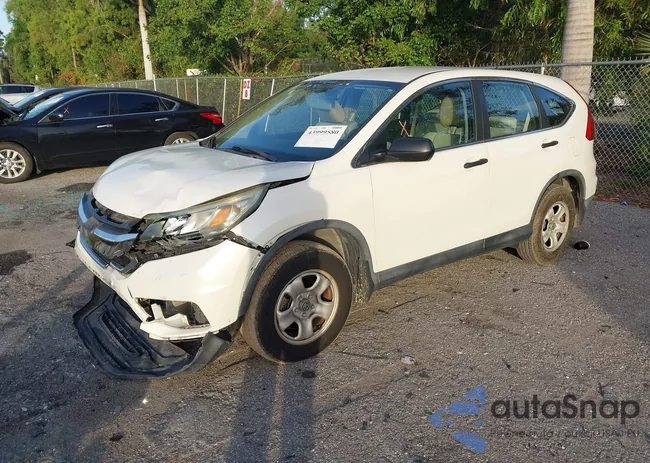 5J6RM3H33FL004556: 43999580