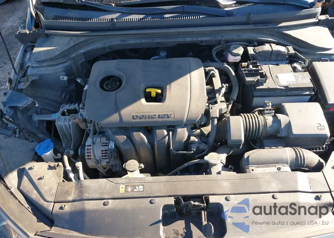 5NPD84LF8LH528894: 43999592