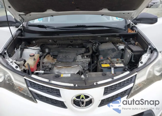 JTMBFREV9FD144793: 44000736