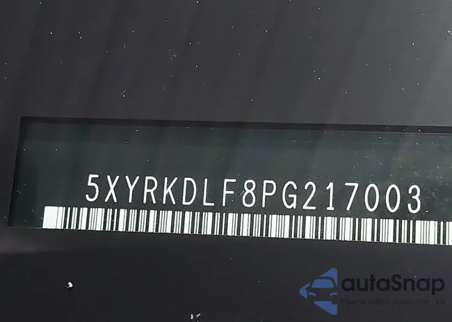 5XYRKDLF8PG217003: 44000865