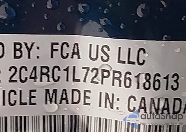 2C4RC1L72PR618613: 44002205