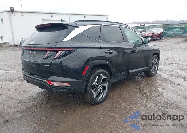 5NMJFCAE3PH242256: 44001644