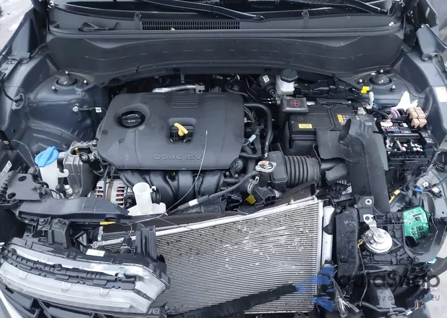 KNDERCAA7R7570005: 44002853