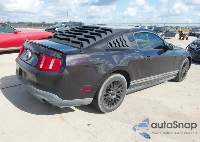 1ZVBP8AM8C5221385: 44003191