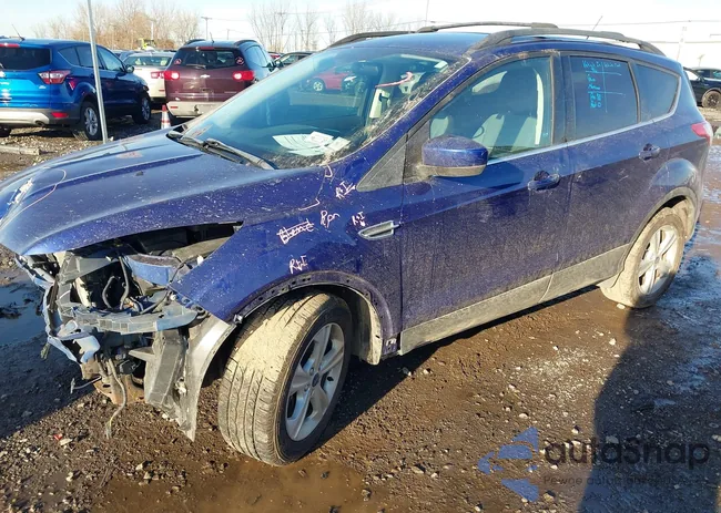 1FMCU9GXXFUB23438: 44002302