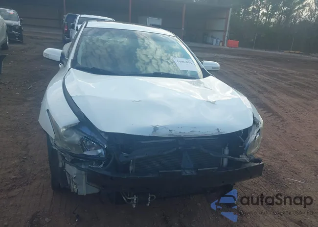 1N4AA5AP6DC813122: 44003844