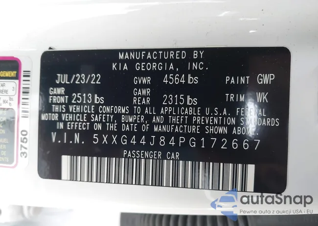 5XXG44J84PG172667: 44003944