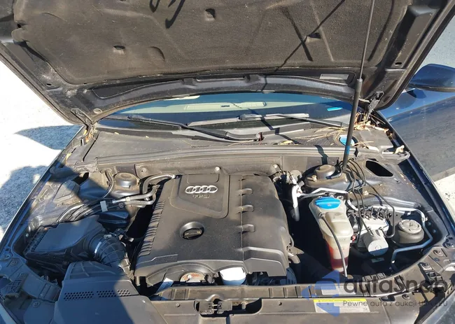 WAUFFAFL2BA103771: 44004146