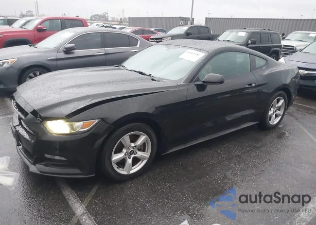 1FA6P8AM5F5396031: 44004182