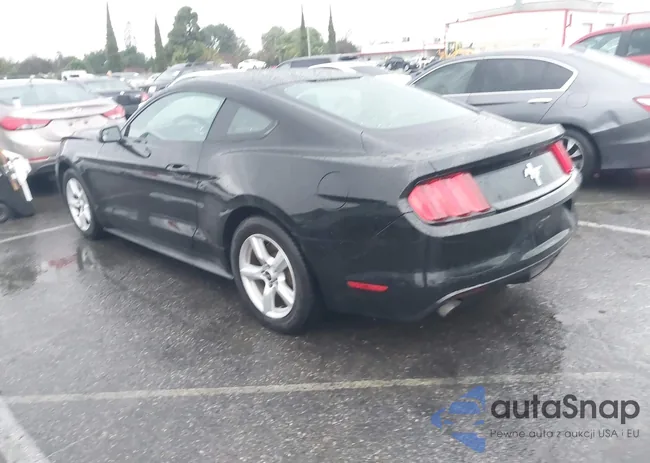 1FA6P8AM5F5396031: 44004182