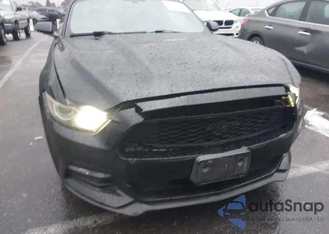 1FA6P8AM5F5396031: 44004182