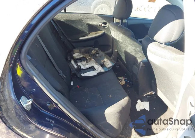 2T1BU4EE6BC619204: 44003538