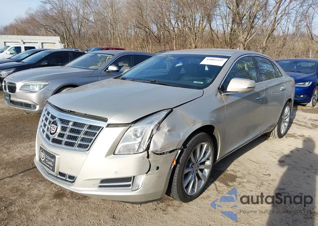 2G61M5S32F9114385: 44005145