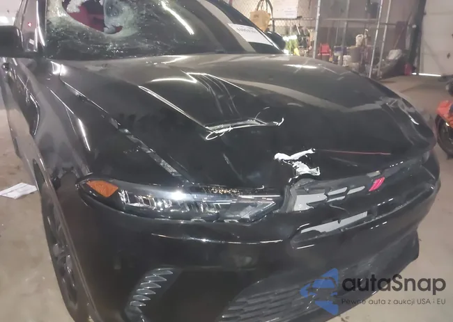 ZACPDFDW7R3A11094: 44004301