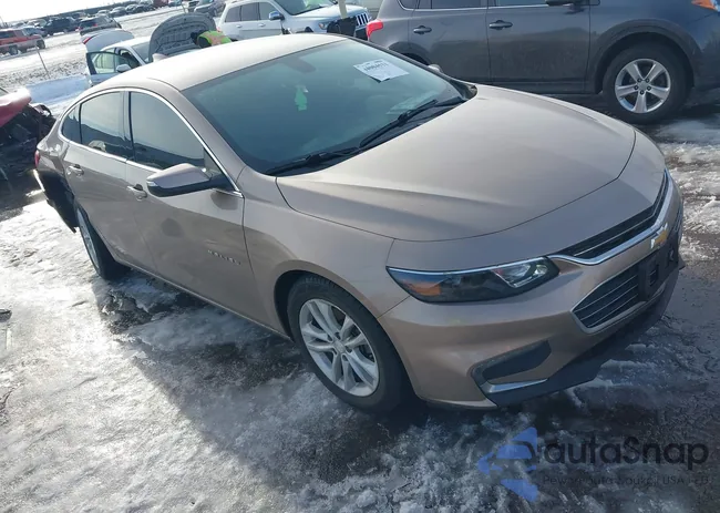 1G1ZD5ST3JF215105: 44004531