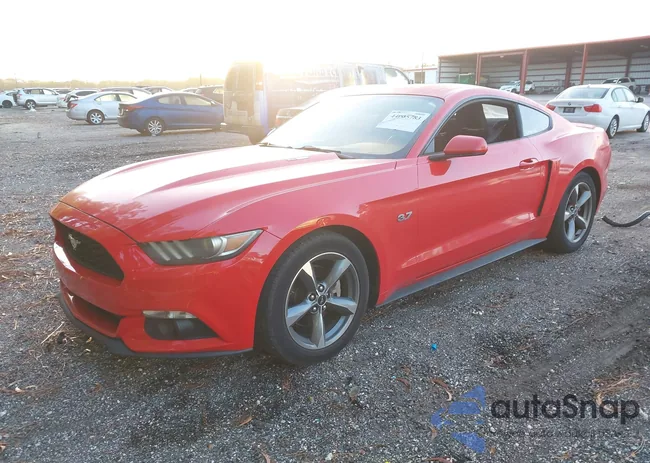 1FA6P8AM0G5326437: 44005783