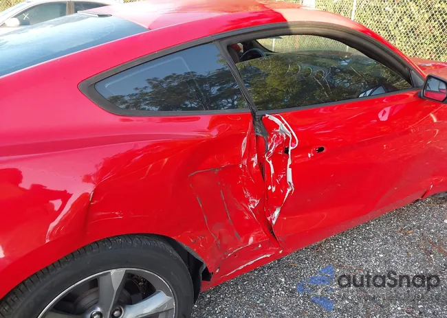 1FA6P8AM0G5326437: 44005783