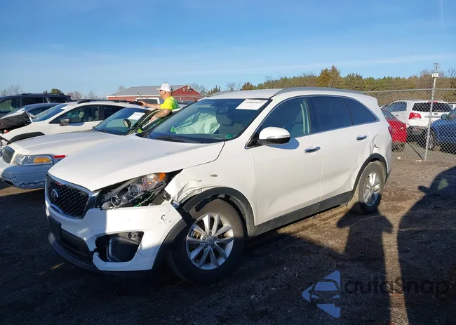 5XYPG4A53HG273323: 44005819