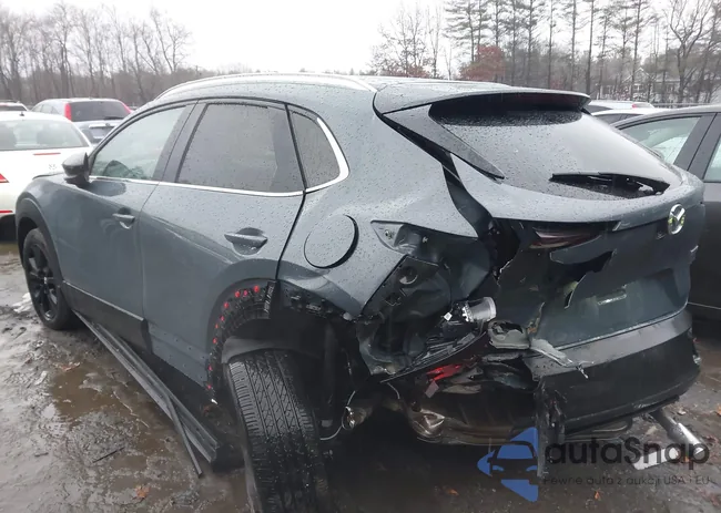 3MVDMBCM3RM687239: 44005837