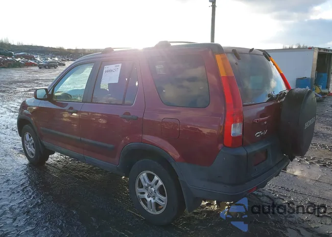 SHSRD78814U245520: 44006237