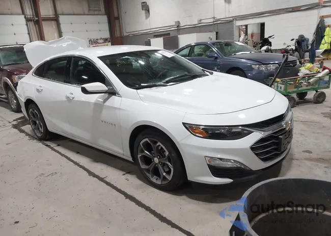 1G1ZD5ST8RF104187: 44005355