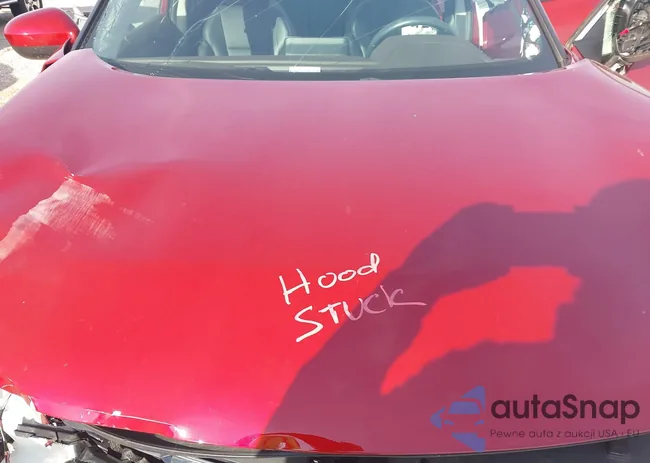 5N1BT3BB3PC807925: 44005391