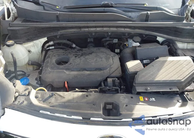 KNDPM3ACXK7548854: 44006692