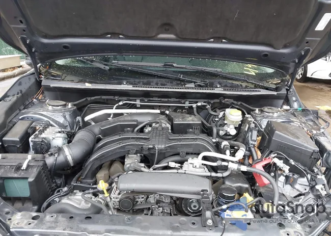 JF2GTHSCXMH282166: 44006861