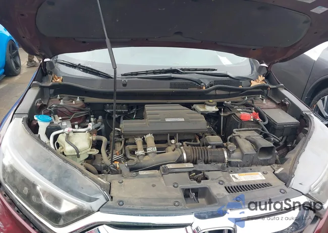 2HKRW1H59KH502491: 44006889