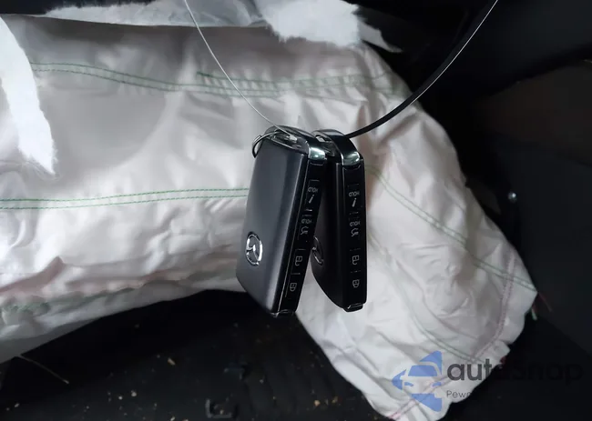 3MVDMBDM1RM606446: 44006977