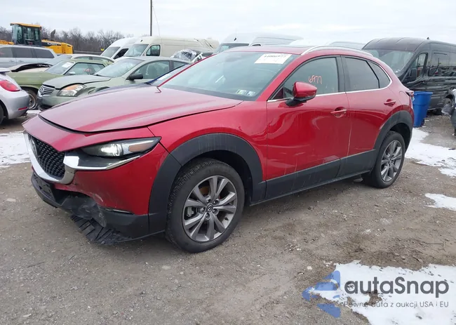 3MVDMBDM1RM606446: 44006977